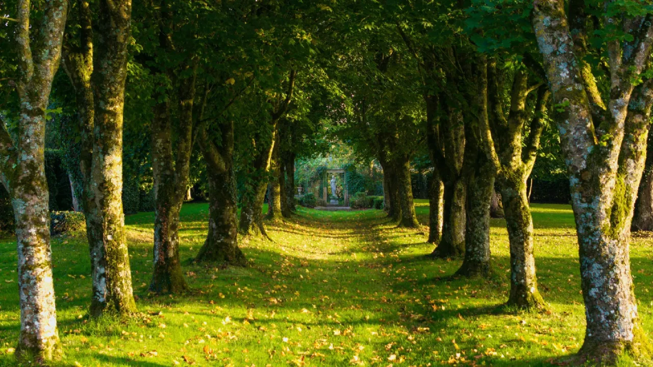 Photo of Ballysallagh House, Kilkenny, Kilkenny, R95 A6P1