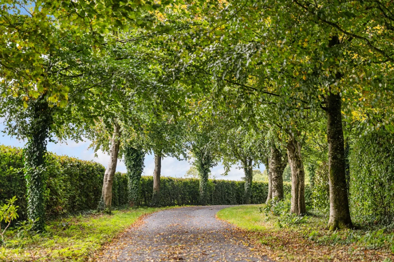 Photo of Ballysallagh House, Kilkenny, Kilkenny, R95 A6P1