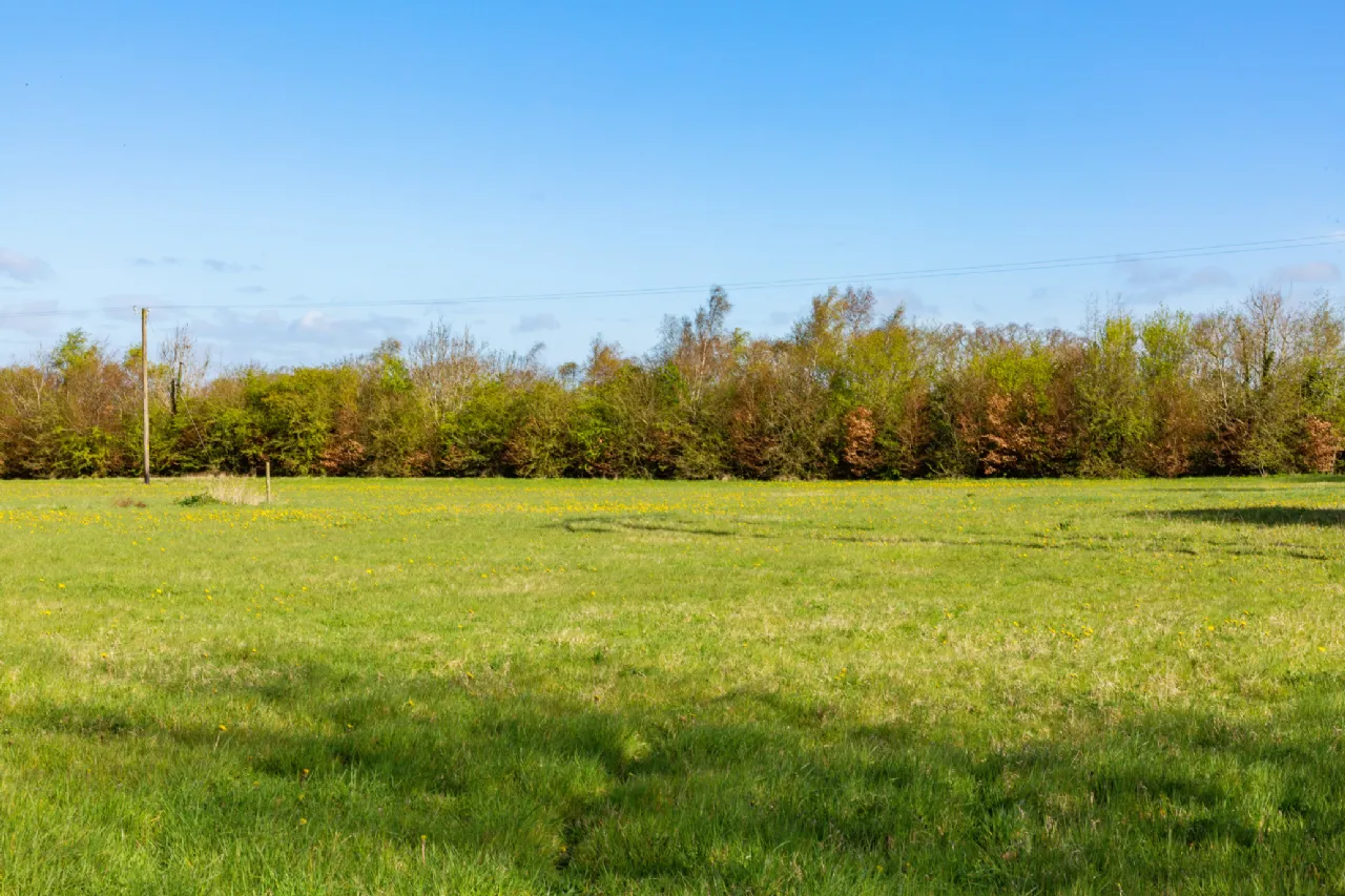 Photo of 'Shannaugh' On C. 7 Acres, Moneycooley, Maynooth, County Kildare, W23 R3P2