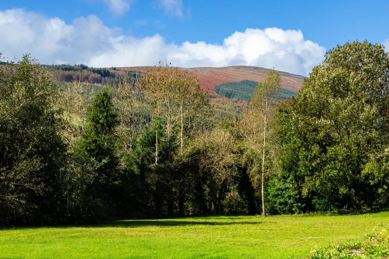 Photo of Brandon View, St Mullins's, County Carlow, R95 H2A0
