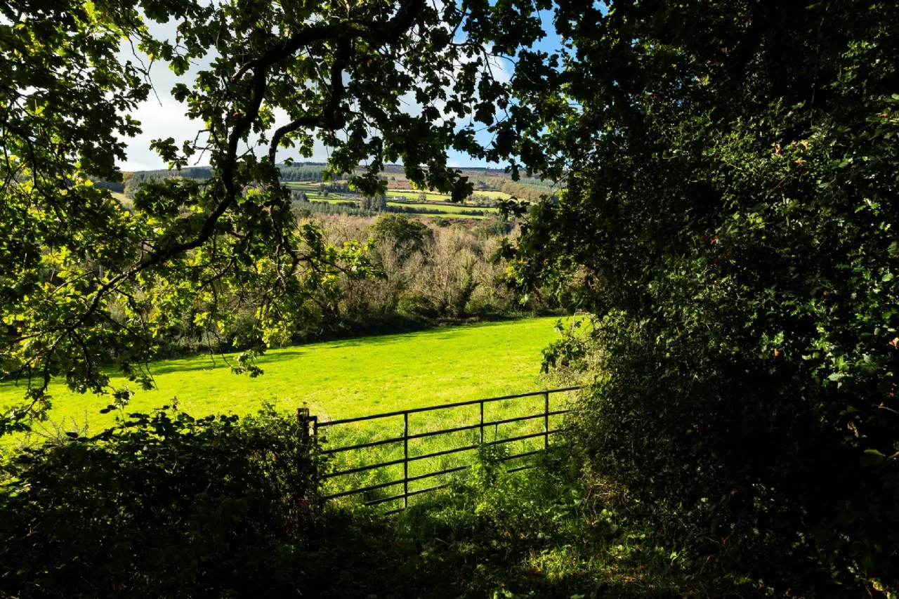 Photo of Brandon View, St Mullins's, County Carlow, R95 H2A0