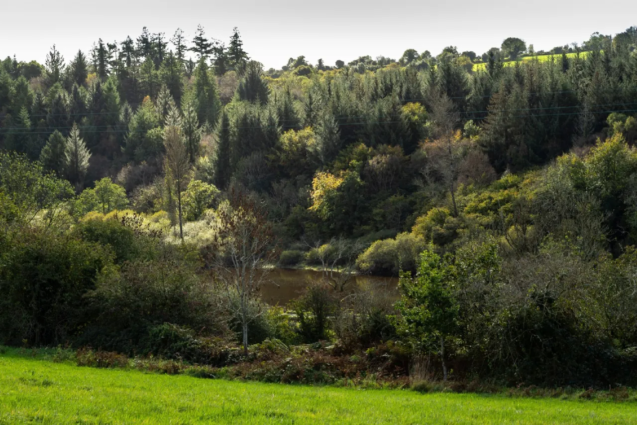 Photo of Brandon View, St Mullins's, County Carlow, R95 H2A0