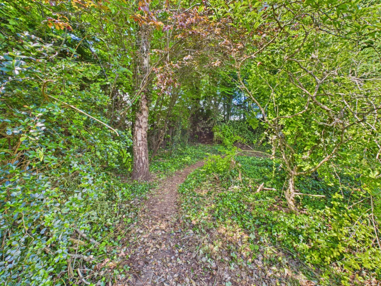 Photo of Benley House, Shanaway Road, Ennis, Co. Clare., V95 PD8N