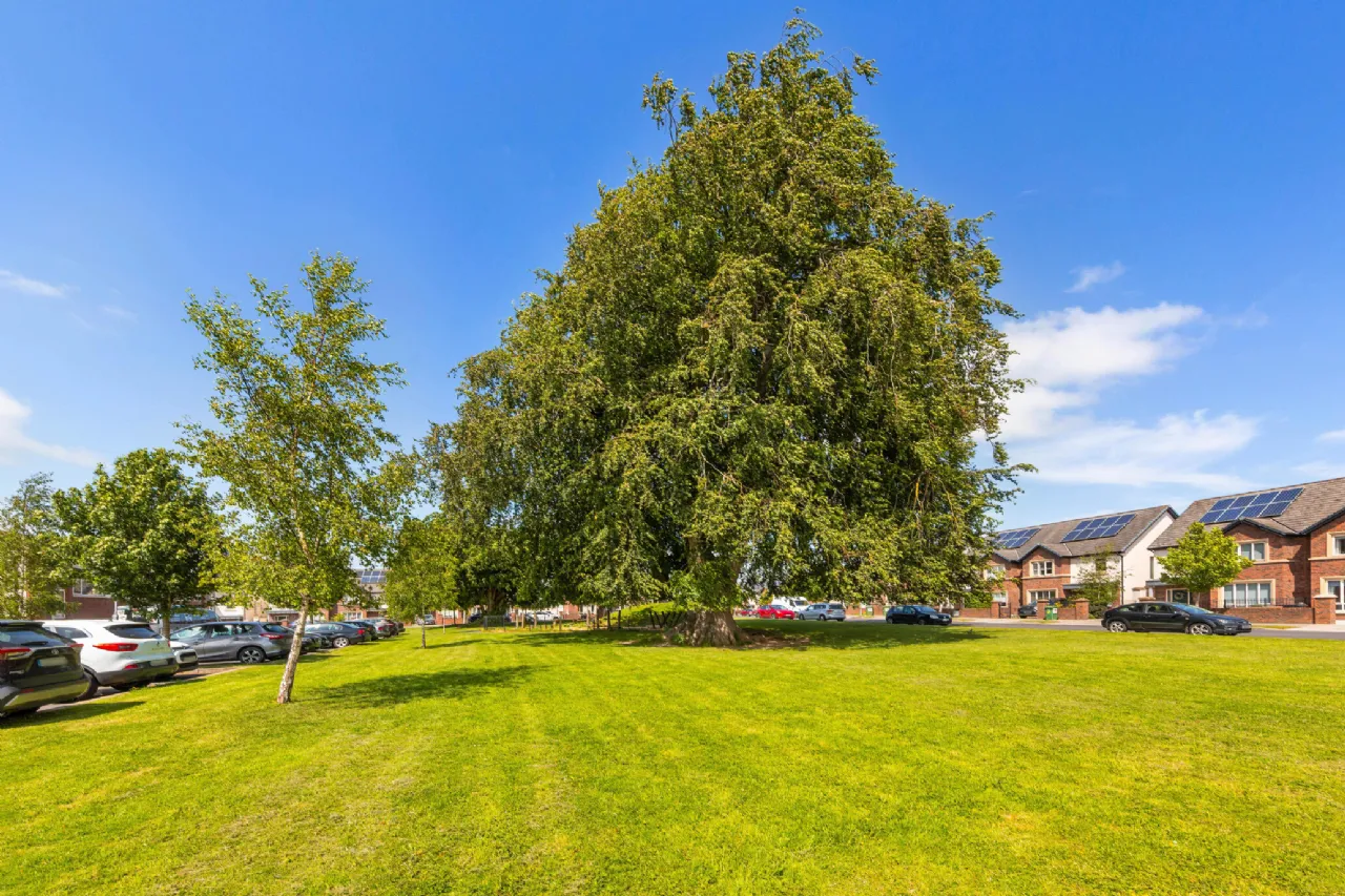 Photo of 17 Carton Wood, Maynooth, Co. Kildare, W23 N5X0