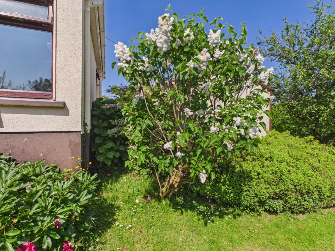 Photo of Earlspark, Loughrea, Co. Galway, H62 XH96