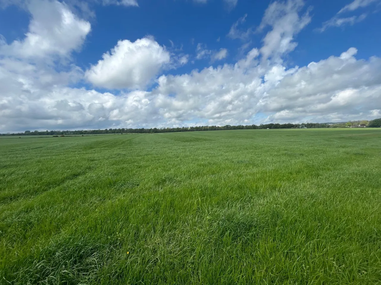 Photo of 112 Acre Non Residential Holding, Lisnagar Demesne, Rathcormac, Co. Cork