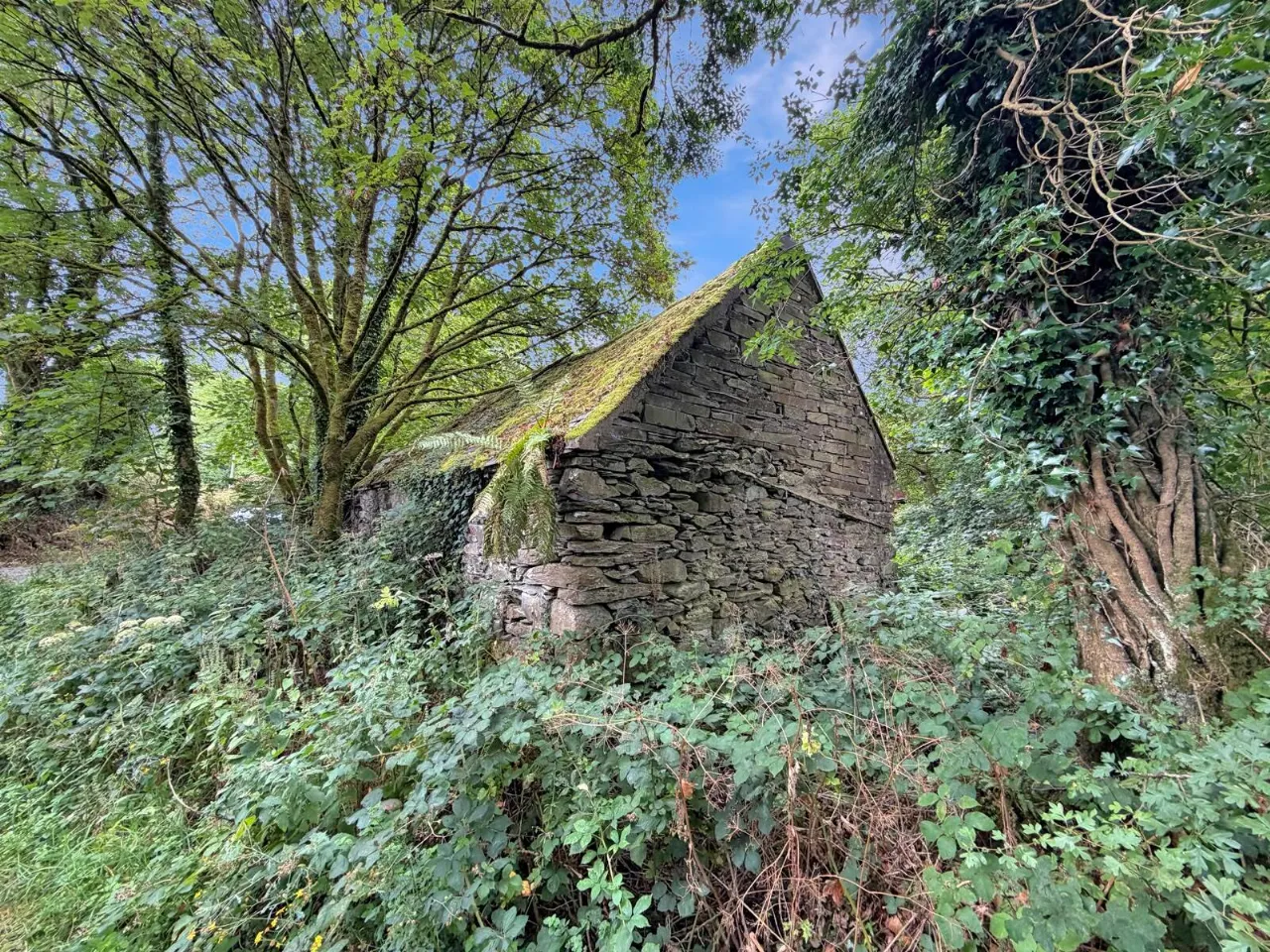 Photo of Coumbeg, Portroe, Nenagh, Co. Tipperary
