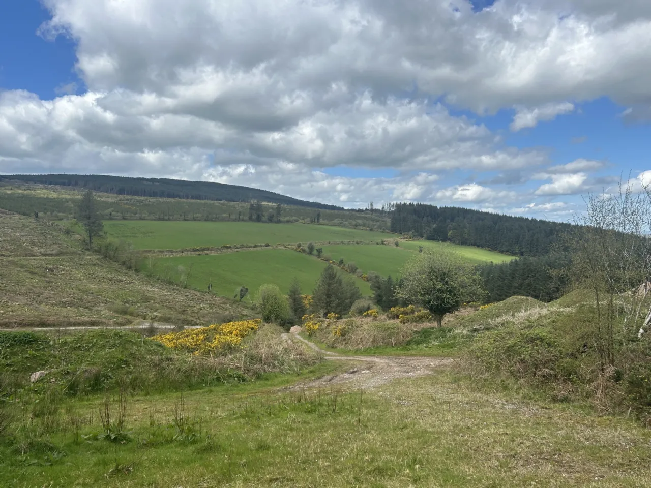 Photo of 51.6 Acre Residential Holding, Knockwatear, Killavullen, Co. Cork, P51 E0E4