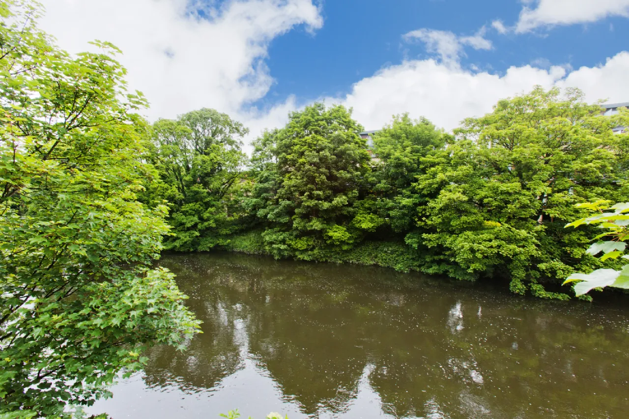 Photo of 83 The Island, Chapelizod, Dublin 20, D20 WF84