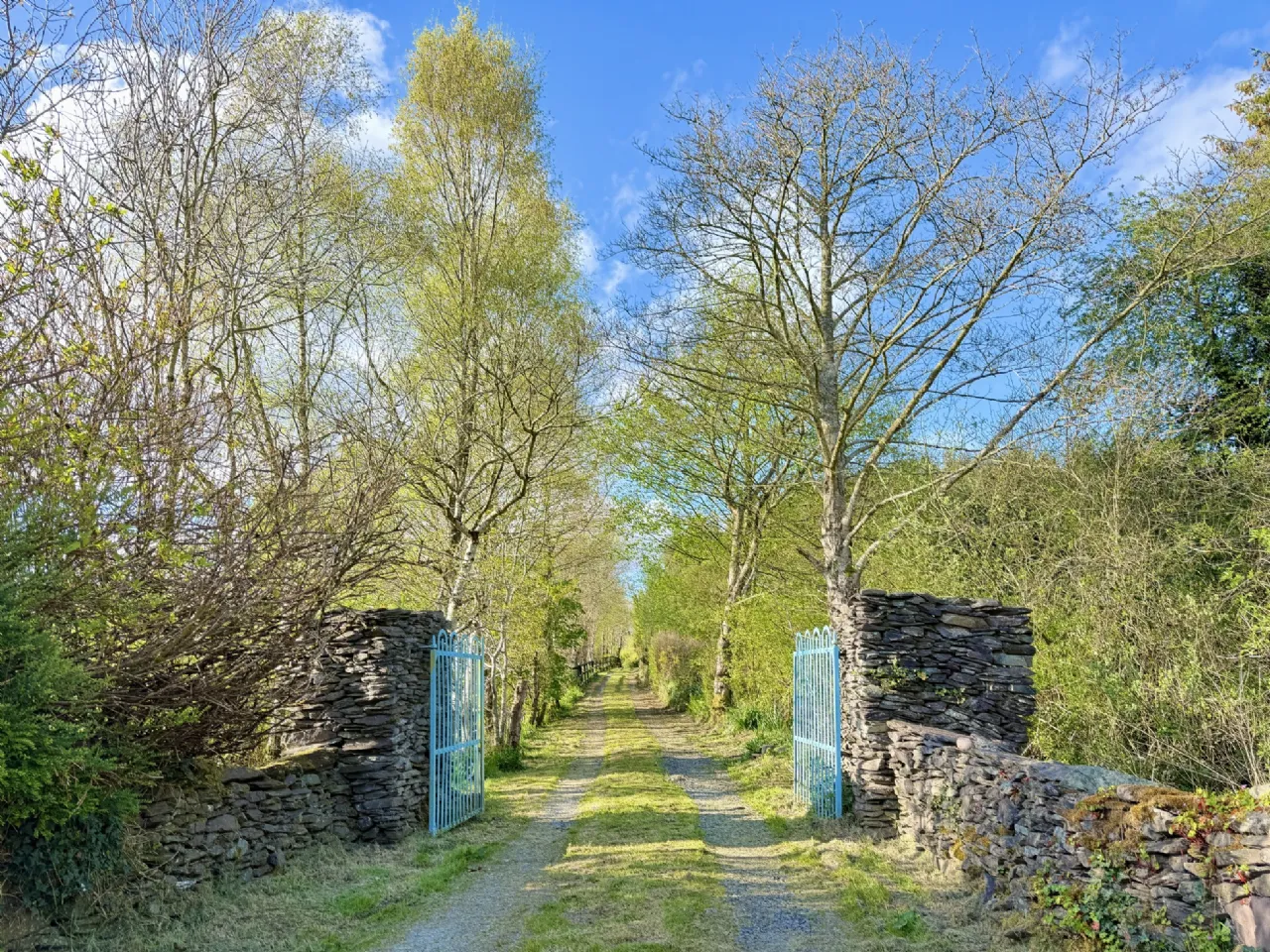 Photo of Scrahanagullaune, Rathmore, Co Kerry, P51 E895