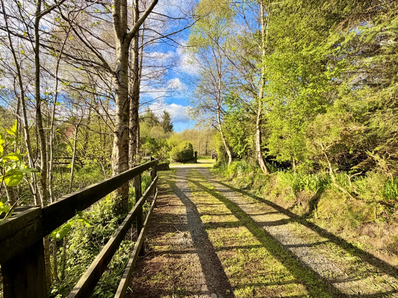 Photo of Scrahanagullaune, Rathmore, Co Kerry, P51 E895