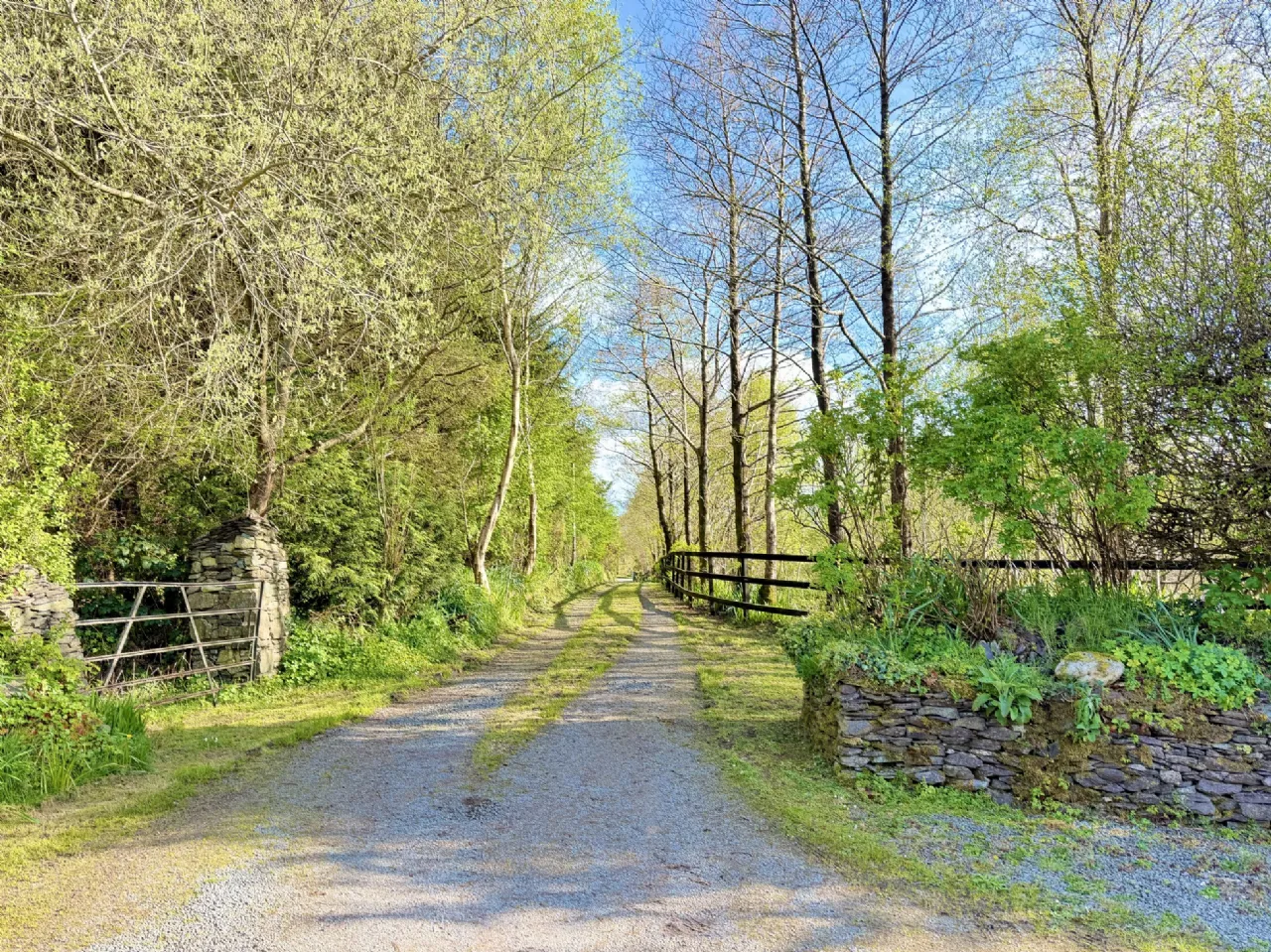 Photo of Scrahanagullaune, Rathmore, Co Kerry, P51 E895