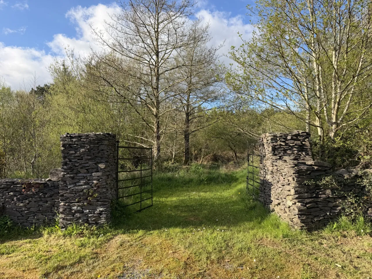 Photo of Scrahanagullaune, Rathmore, Co Kerry, P51 E895