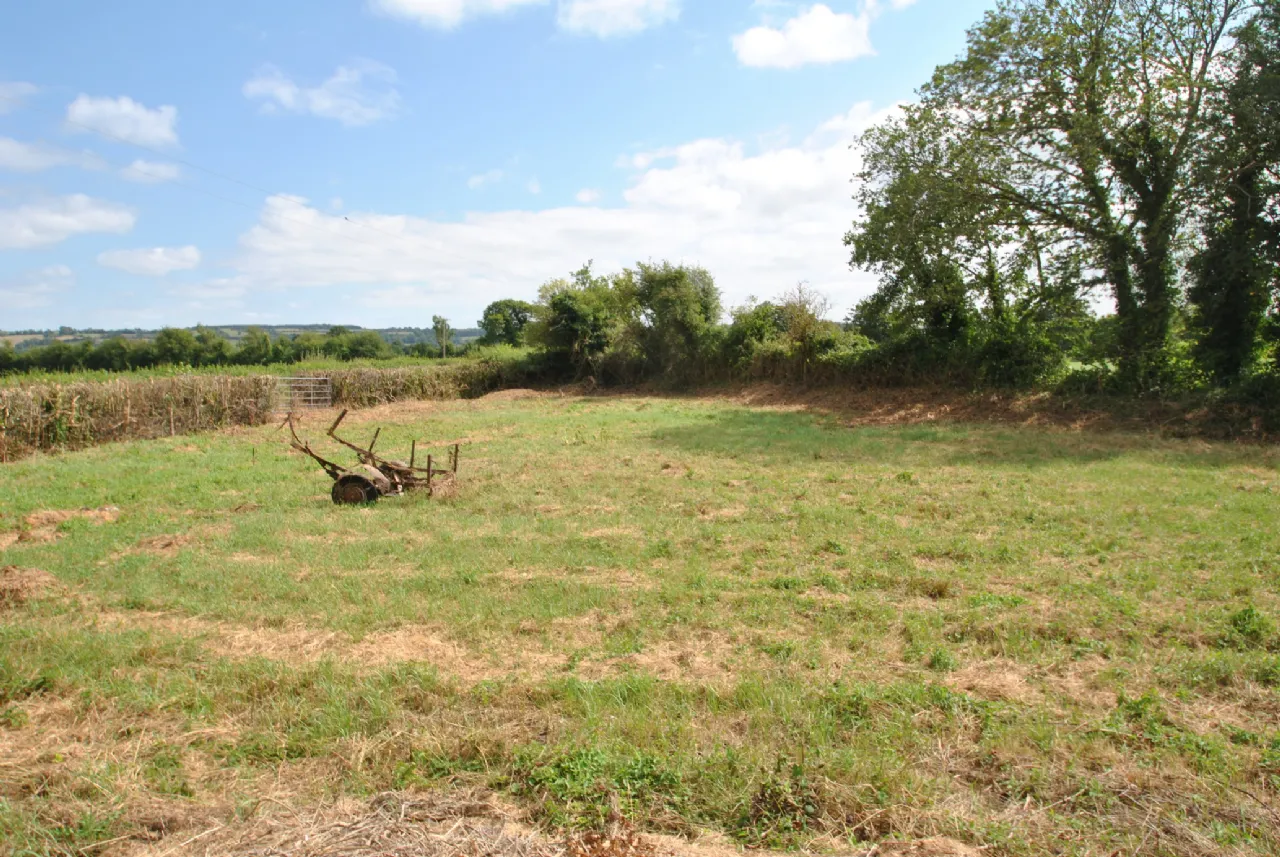 Photo of Mount Heaton, Roscrea, Co. Offaly, E53 A978