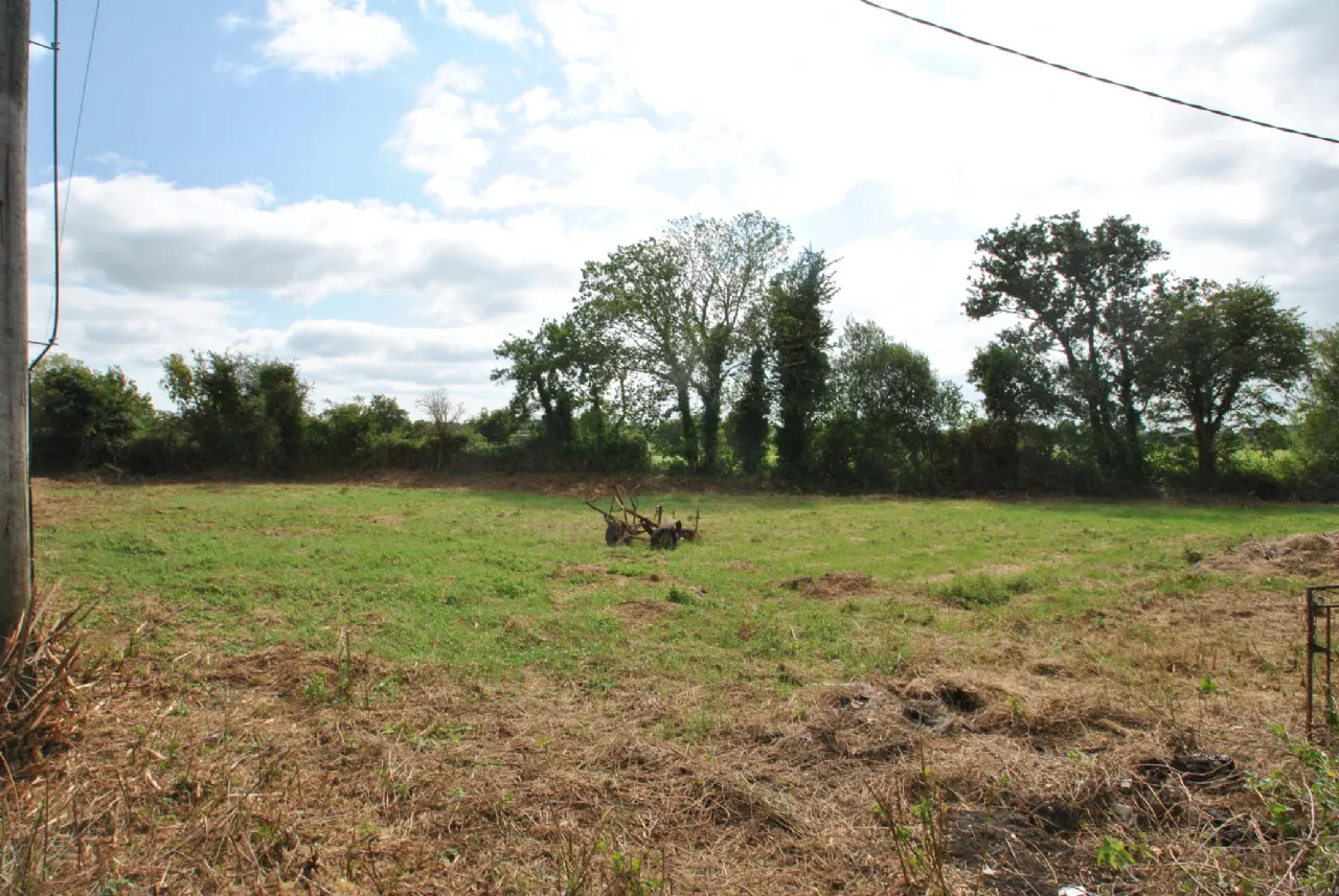 Photo of Mount Heaton, Roscrea, Co. Offaly, E53 A978