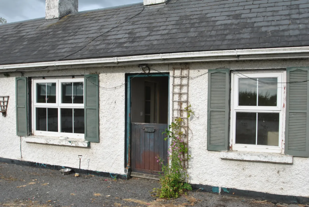 Photo of Mount Heaton, Roscrea, Co. Offaly, E53 A978