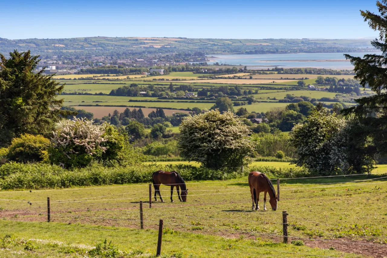 Photo of Hillside, Glenbeg, Dungarvan, County Waterford, X35 D732