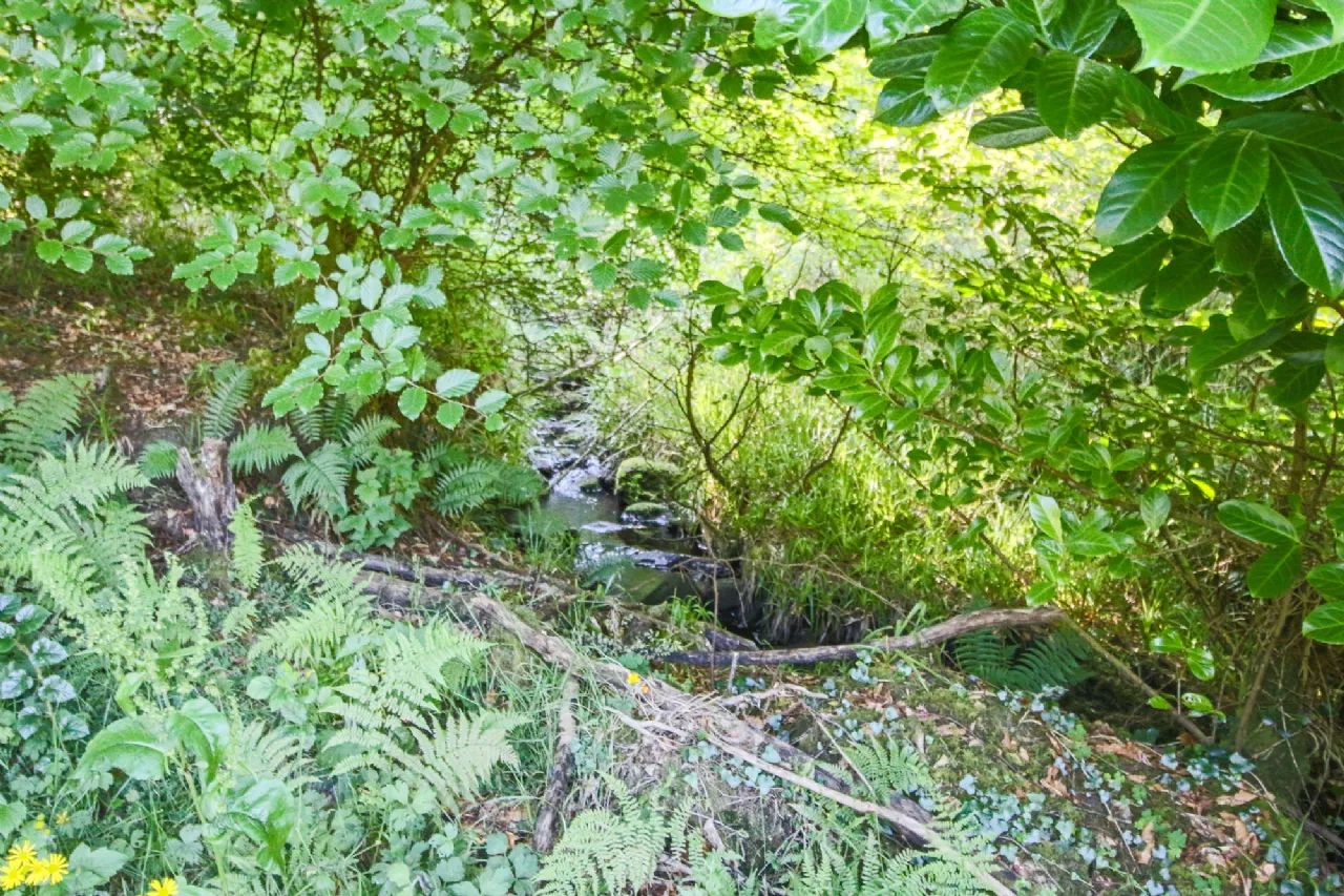 Photo of Ballynashee, Geevagh, Co. Sligo, F52 T279