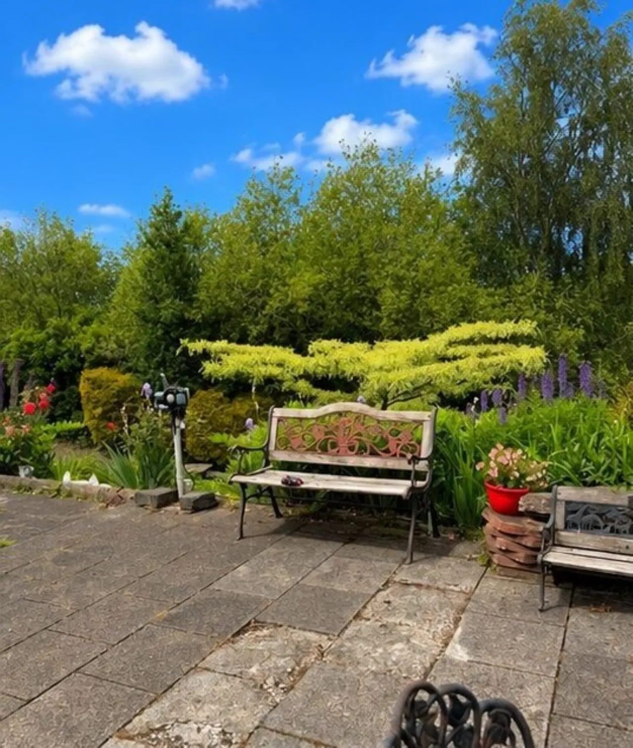 Photo of Coolalisheen, Kilworth, Co.Cork, P61D577