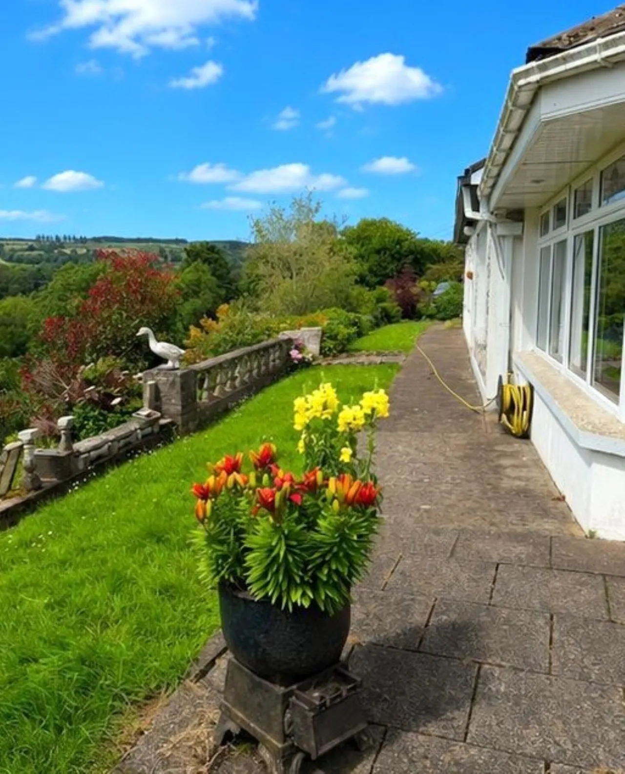 Photo of Coolalisheen, Kilworth, Co.Cork, P61D577