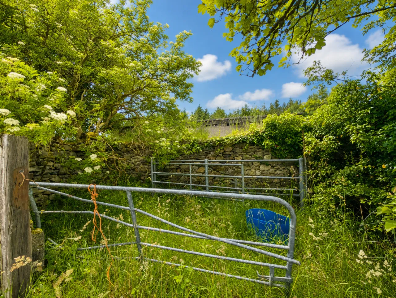 Photo of Cloongullane, Swinford, Co. Mayo