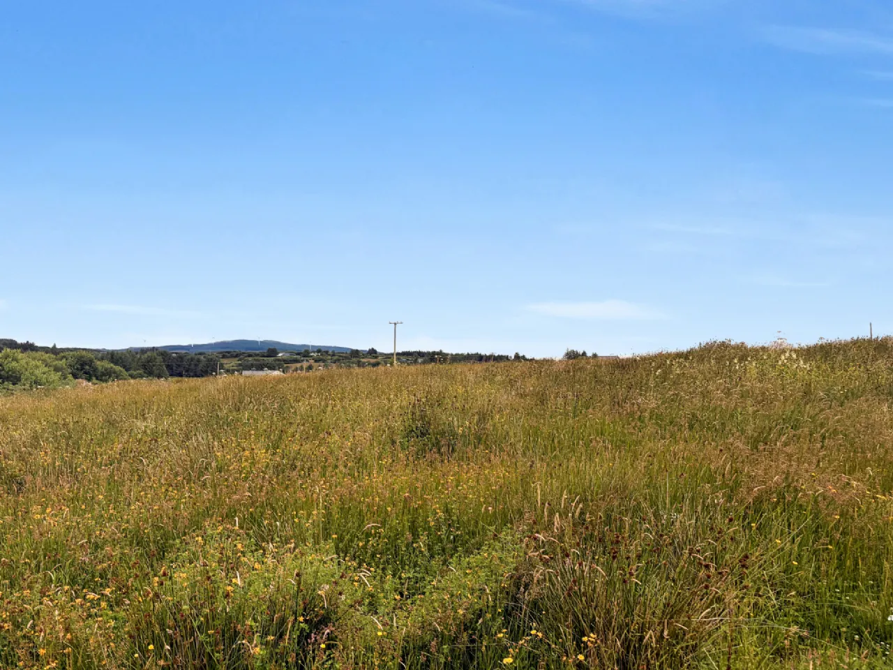Photo of Land on Bealcragga Road, Folio CE24159F, Connolly, Ennis, Co. Clare.