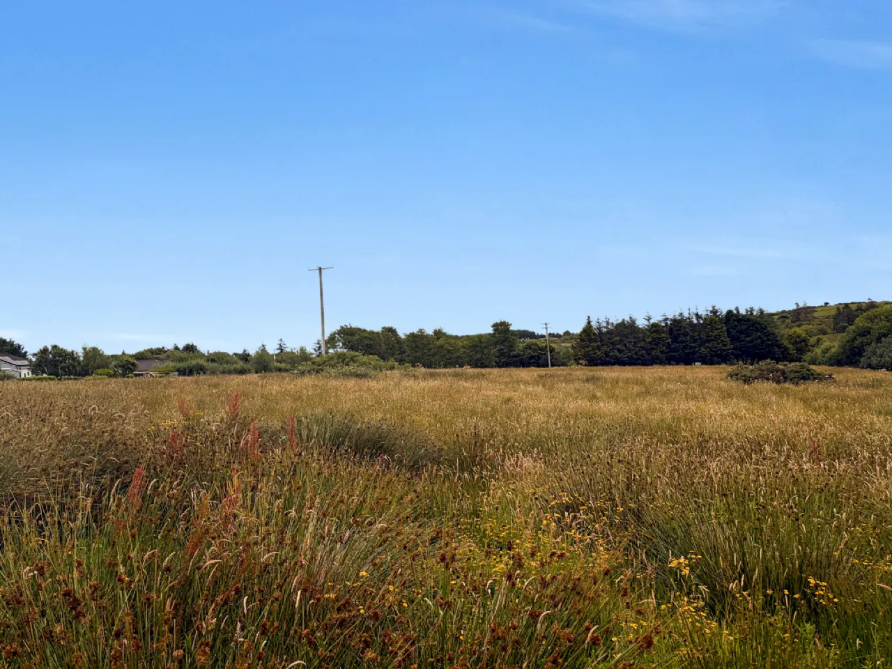 Photo of Land on Bealcragga Road, Folio CE24159F, Connolly, Ennis, Co. Clare.