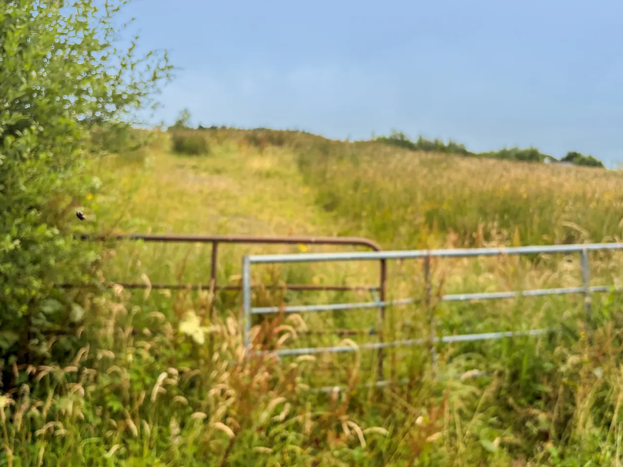 Photo of Land on Bealcragga Road, Folio CE24159F, Connolly, Ennis, Co. Clare.