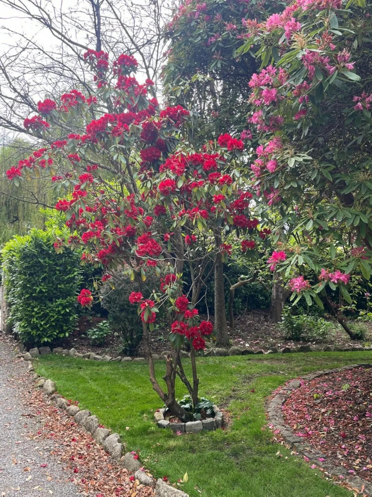 Photo of Glenair House and Gate Lodge, Priory Road, Delgany, Co. Wicklow, A63RX52