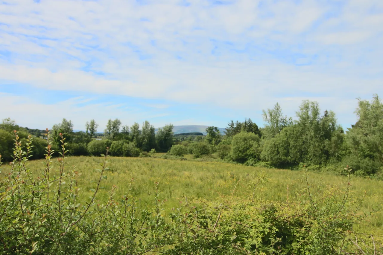 Photo of Effrinagh, Carrick On Shannon, Co. Leitrim, N41 Y276