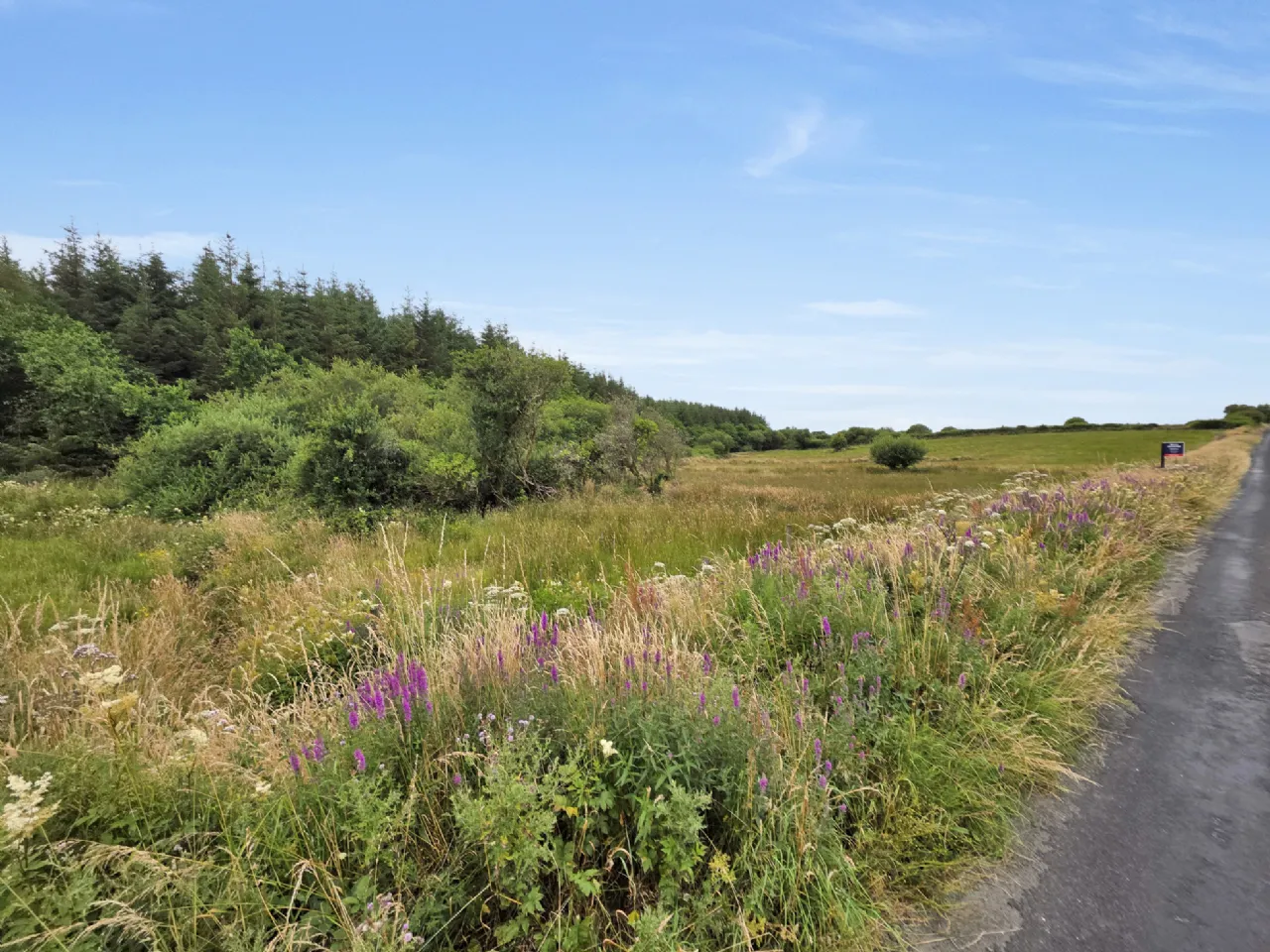 Photo of Lot 1 Plot Of Land Derrynacarragh, Folio CE32601F, Kilmaley, Ennis, Co Clare