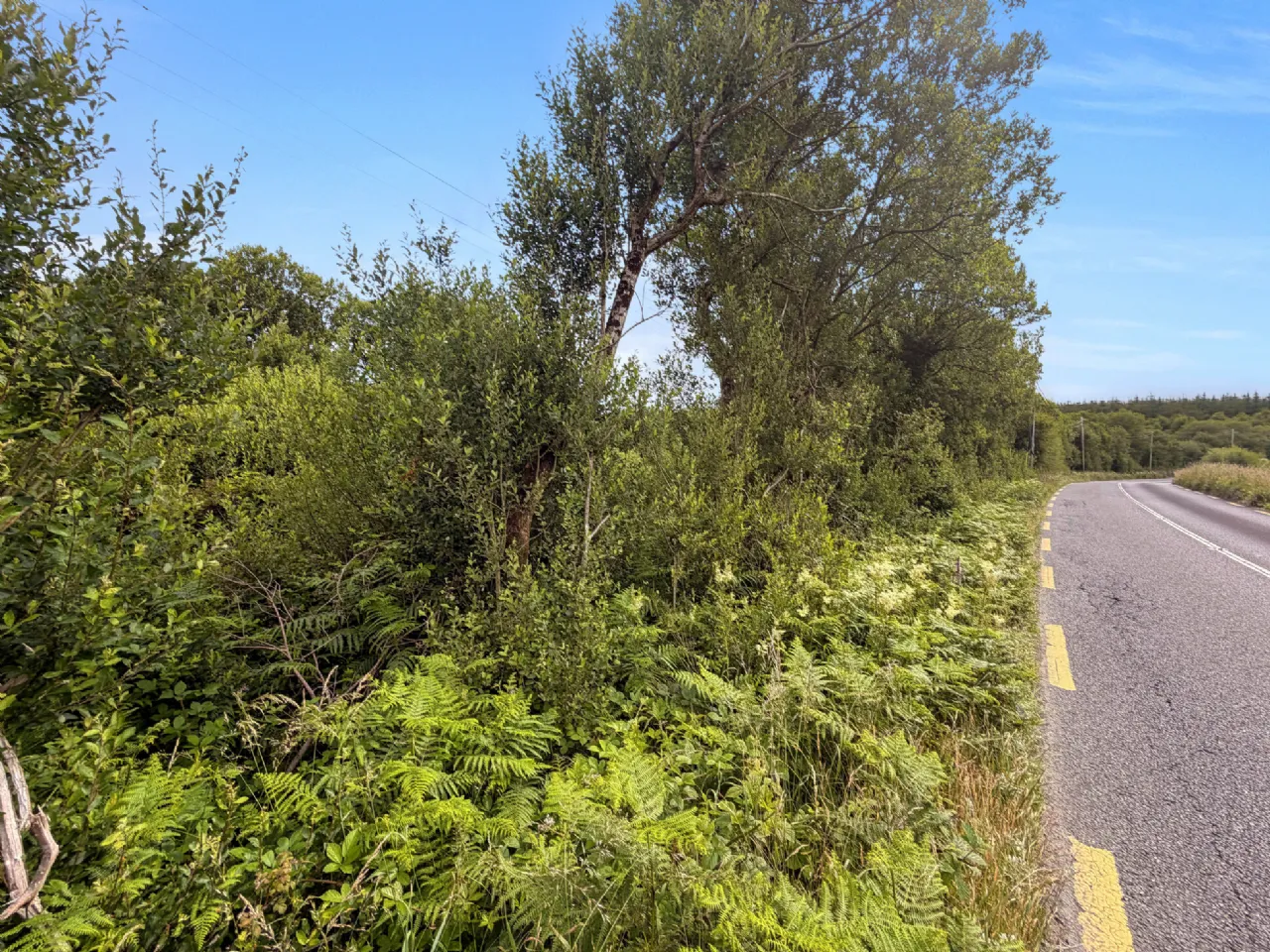 Photo of Lot 2 - Plot of Land At Bealcragga, On Folio CE5478F, Connolly, Ennis, Co Clare