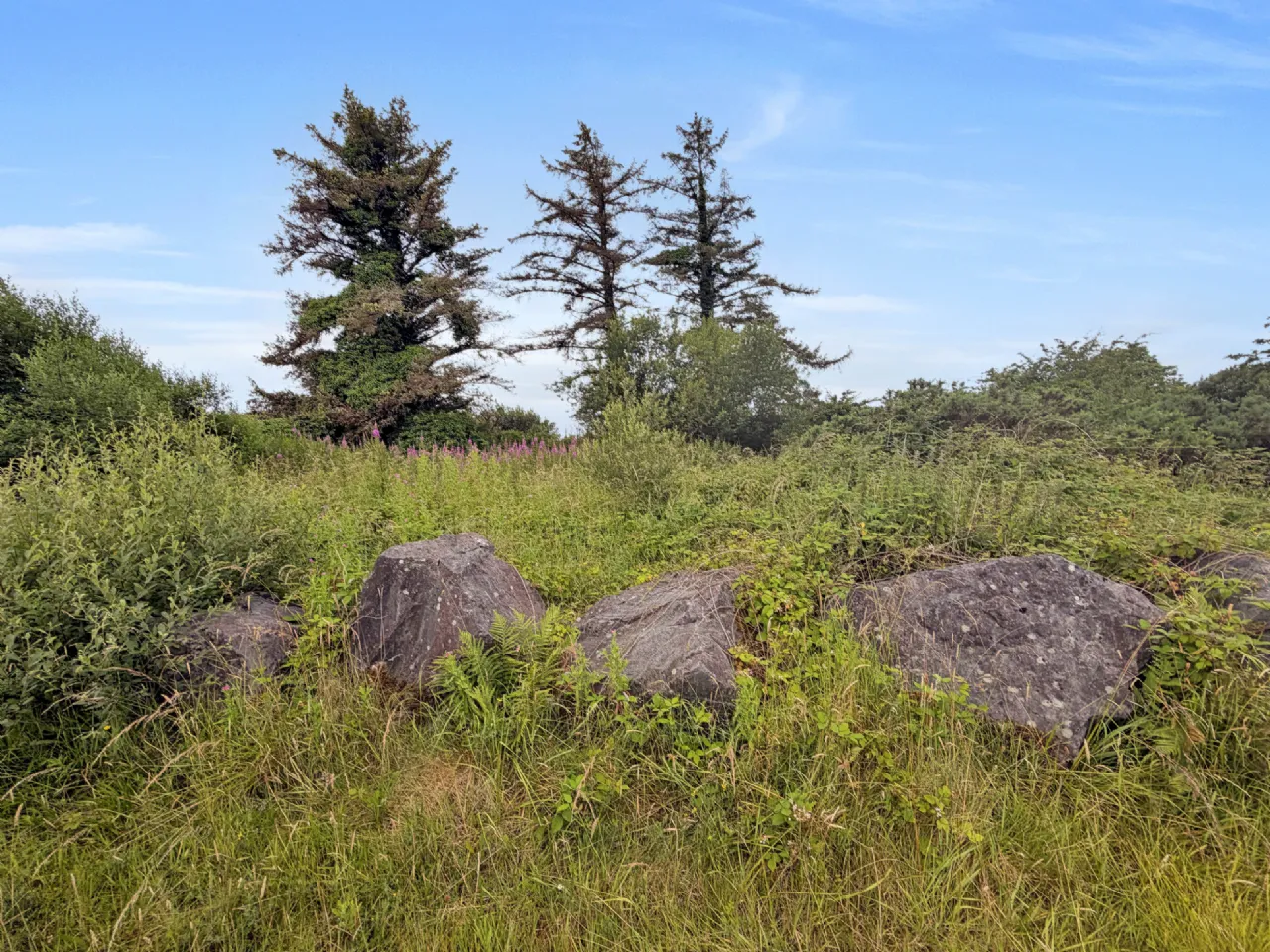 Photo of Lot 3 - Two Plots Of Land, Carrowkeel East, Inagh, Ennis, Co Clare