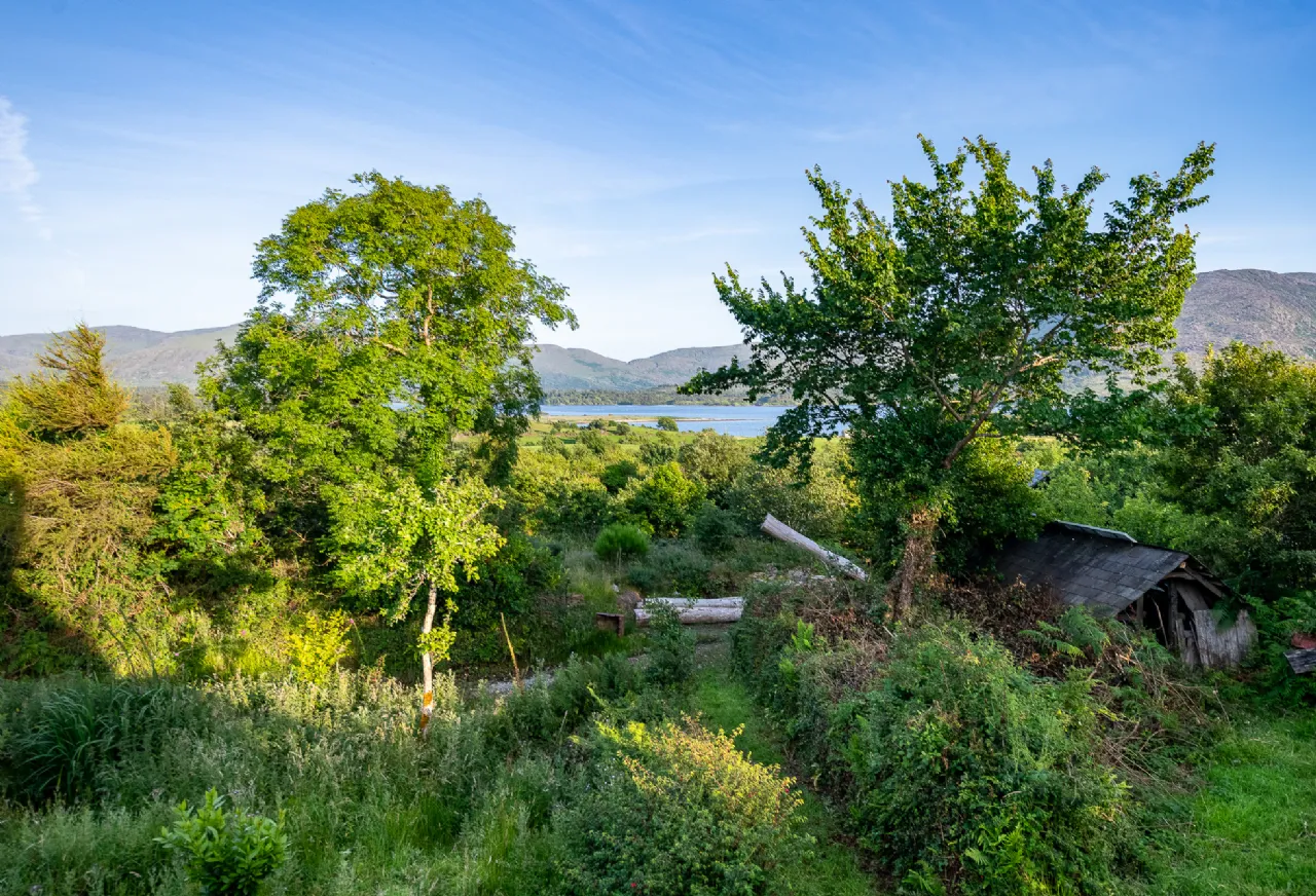 Photo of Spyglass Hill, Loughaunacreen, Kilmakillouge, Lauragh - Kenmare, Co Kerry, V93 KW94