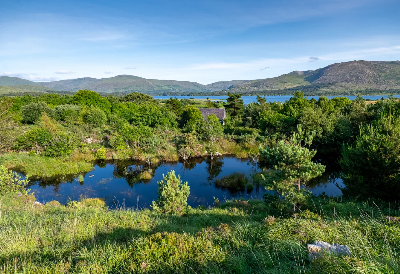 Photo of Spyglass Hill, Loughaunacreen, Kilmakillouge, Lauragh - Kenmare, Co Kerry, V93 KW94
