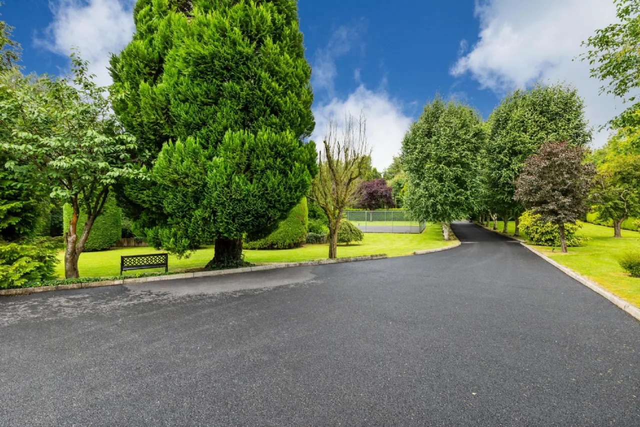 Photo of Tall Trees, Whitestown, Oldtown, Dublin, A45 N599