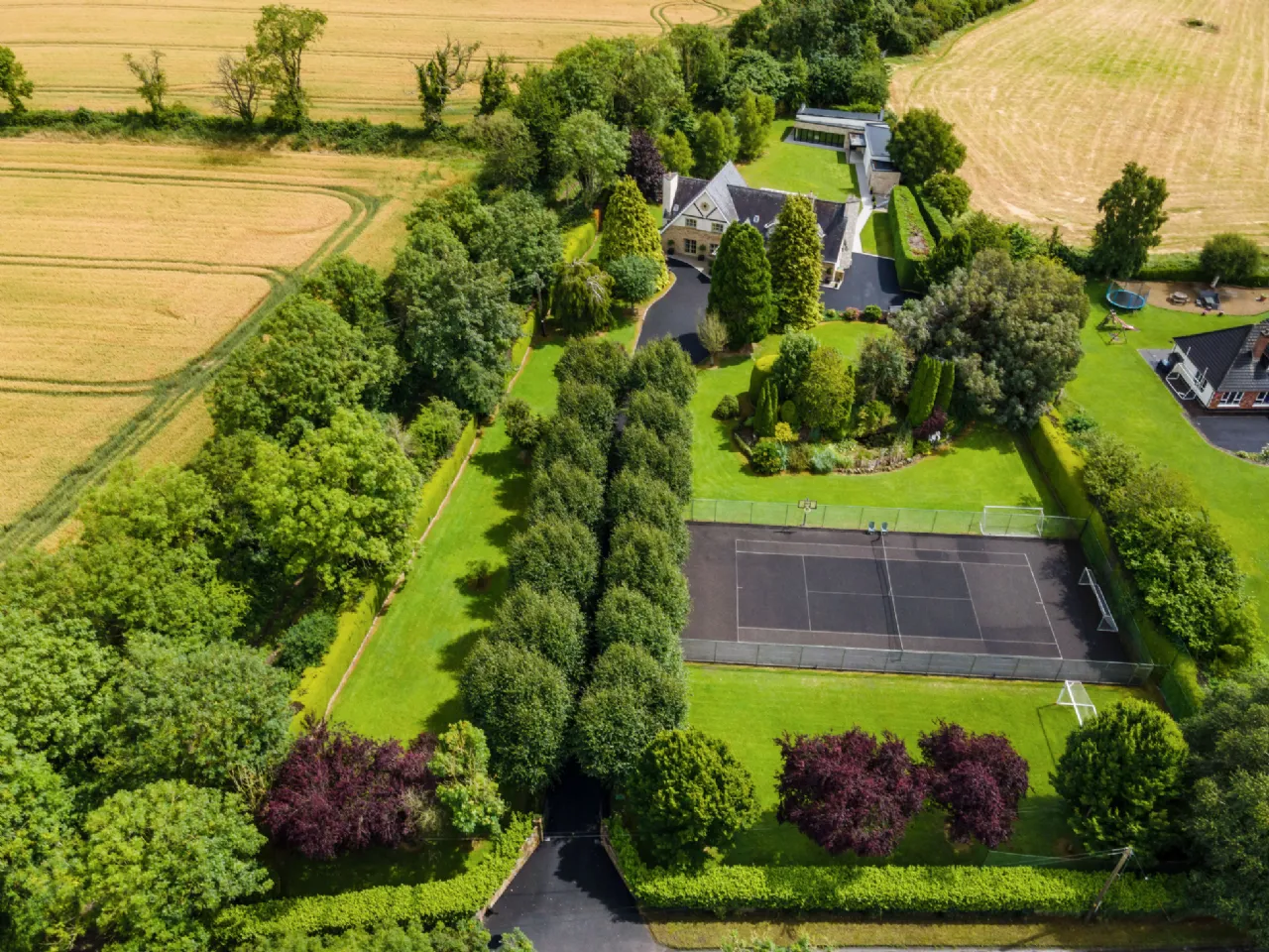Photo of Tall Trees, Whitestown, Oldtown, Dublin, A45 N599