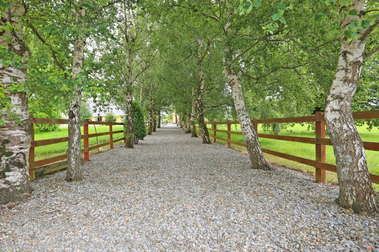 Photo of Ballybrown, Clarina, Co Limerick, V94R80F