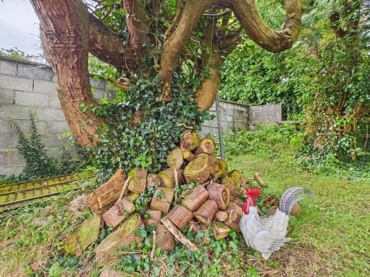 Photo of Stone Cottage, Old Galway Road, Loughrea, Co. Galway, H62 FD99