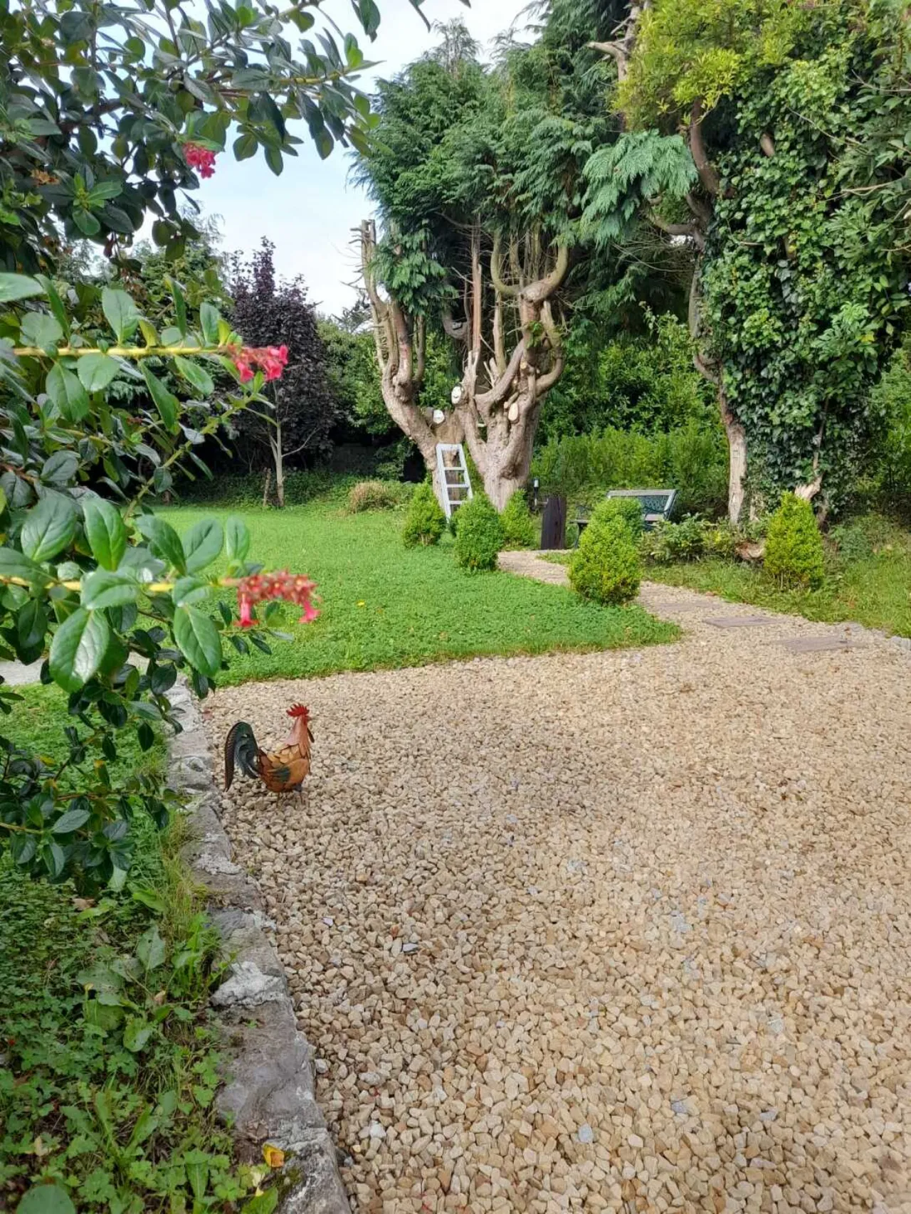 Photo of Stone Cottage, Old Galway Road, Loughrea, Co. Galway, H62 FD99