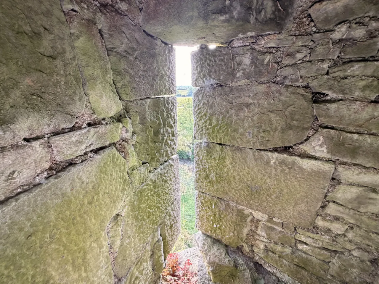 Photo of Ballygriffey Castle Ruins On 0.7ha, Folio CE3481F, Ballygriffey South, Ruan, Co Clare