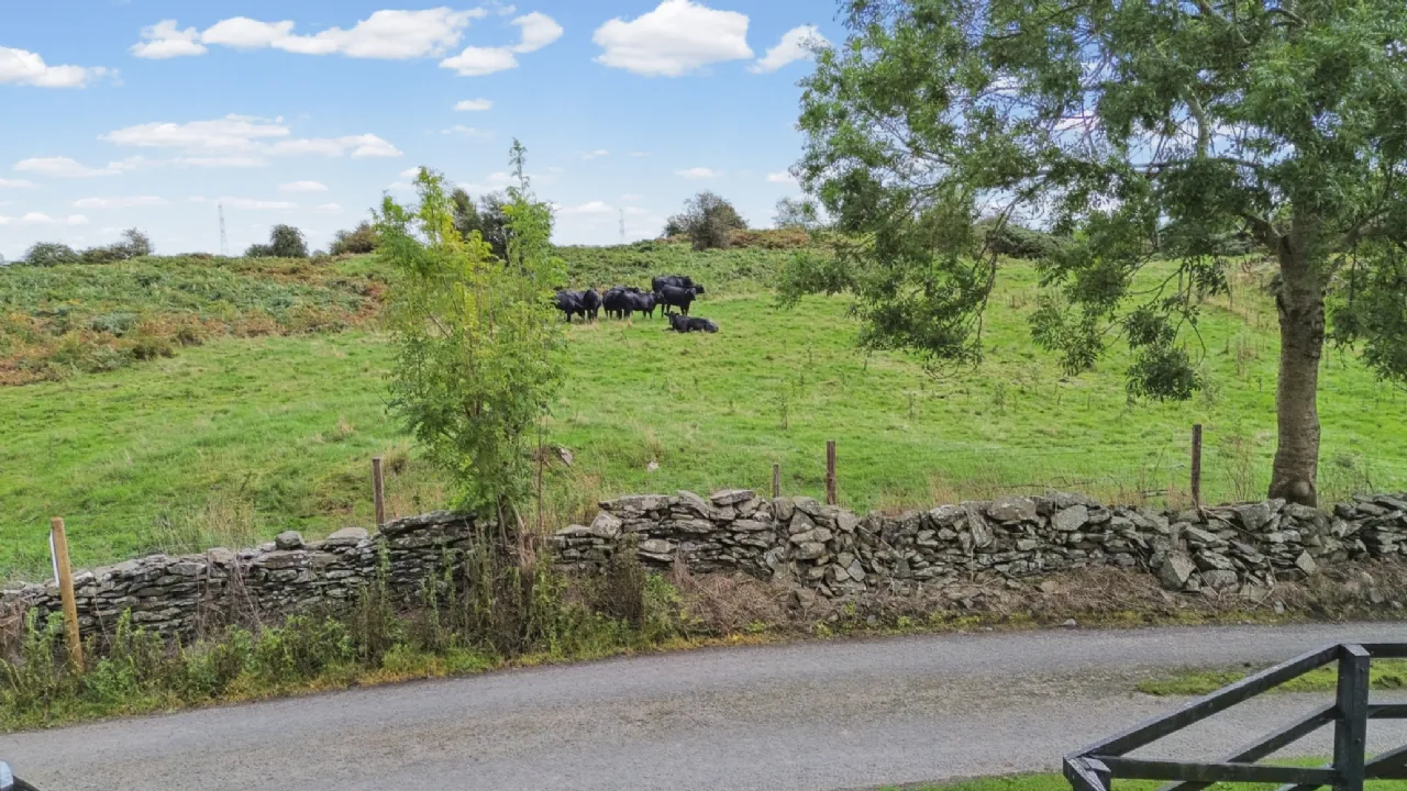 Photo of Deerpark View*, Drumirril, Inniskeen, Co. Monaghan, A91 TD32