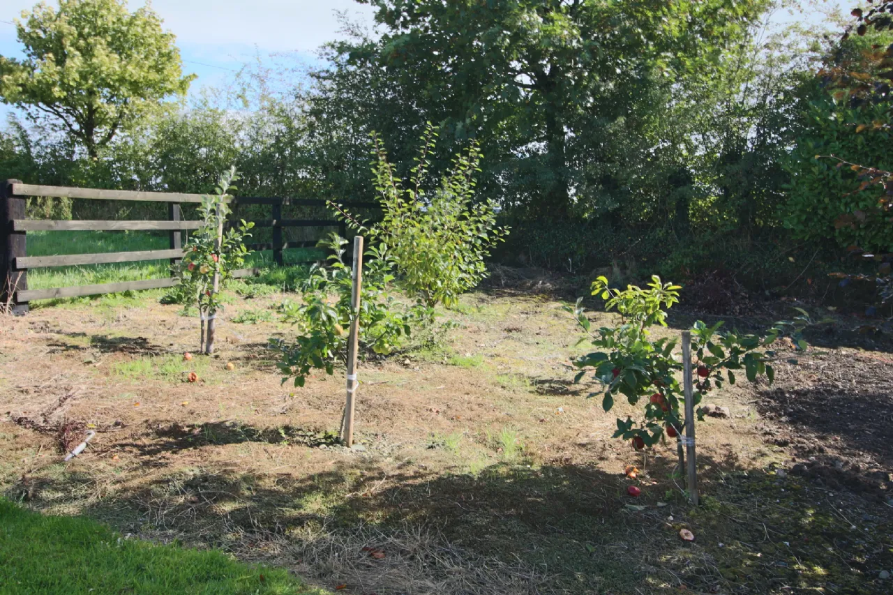 Photo of Newtowngore, Co. Leitrim, N41 AH74