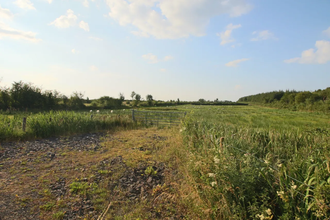 Photo of Tartan, Ballinameen, Co. Roscommon