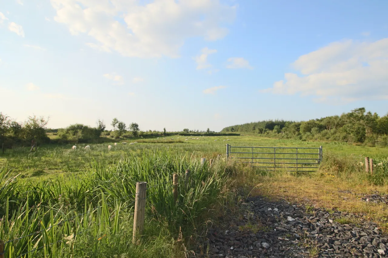 Photo of Tartan, Ballinameen, Co. Roscommon