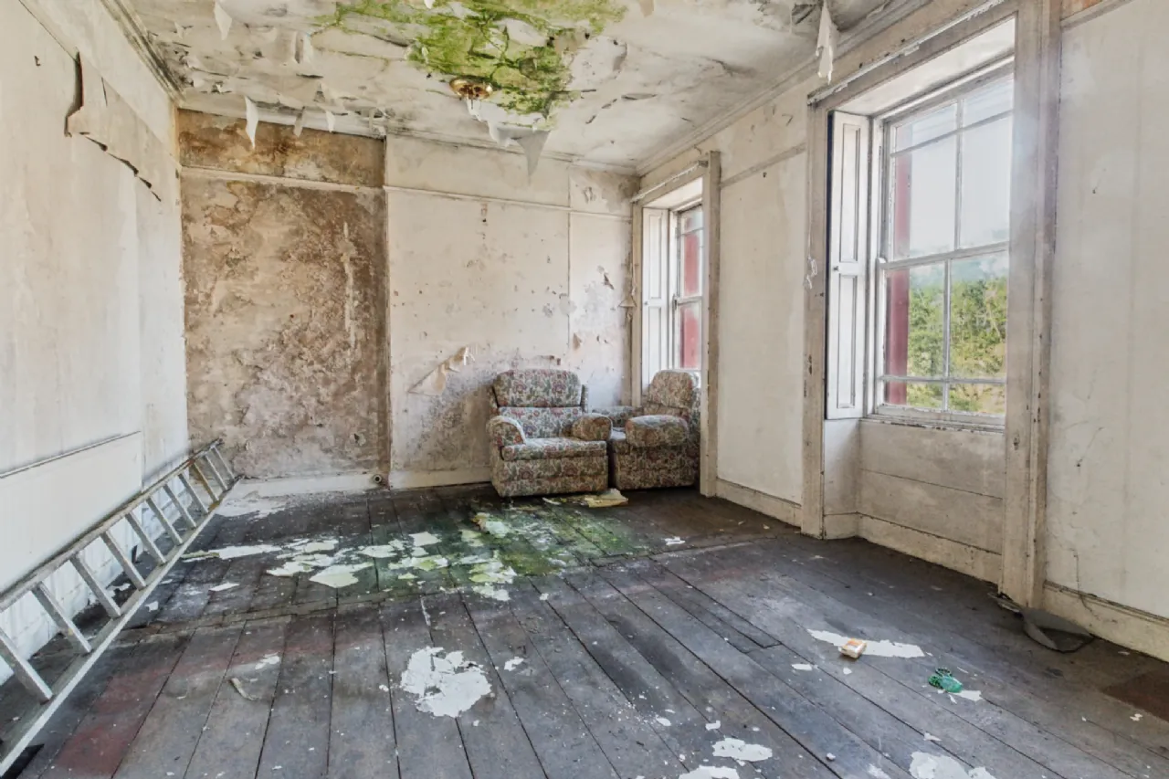 Photo of 
