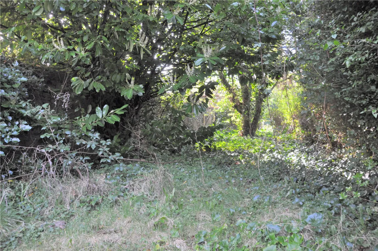 Photo of 1 Hawthorne Place, College Road, Cork, T12A2R2