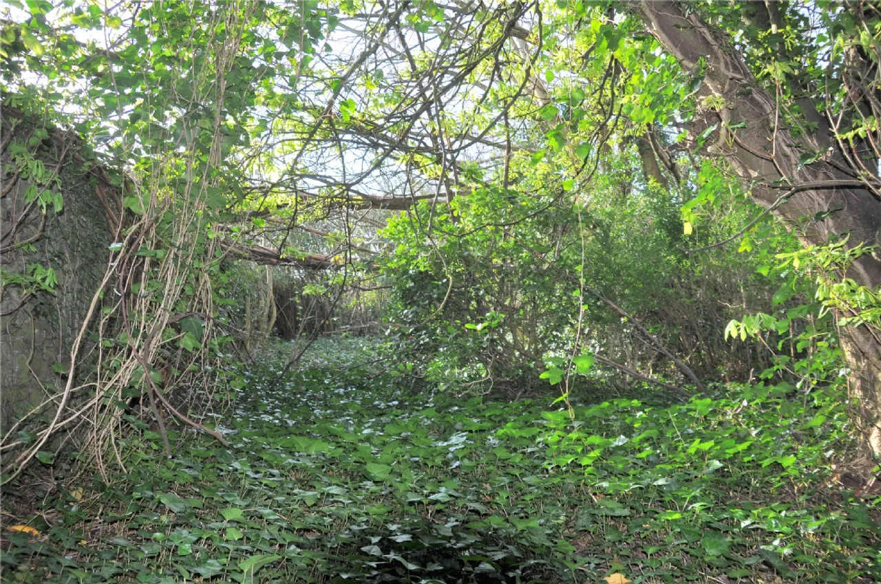 Photo of 1 Hawthorne Place, College Road, Cork, T12A2R2