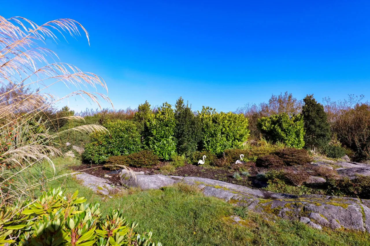 Photo of Aille, Barna, Co. Galway, H91 VXP3