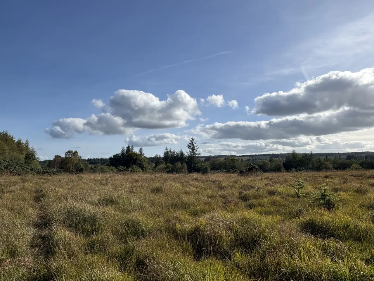 Photo of Laggoo, Kylebrack (Moyglass), Loughrea, Co. Galway